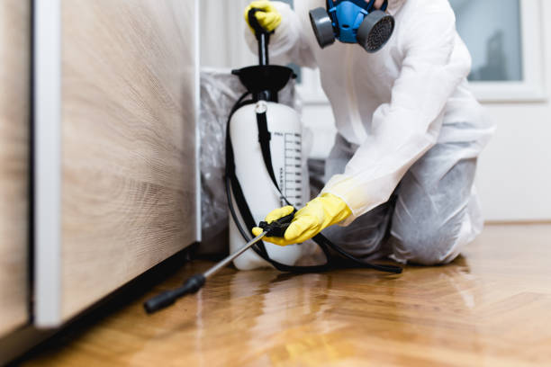 Best Insect Control  in Wesley Chapel, NC