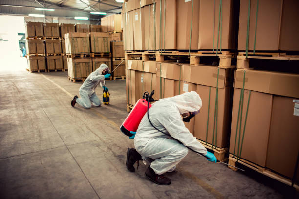Best Exterminator Services  in Wesley Chapel, NC