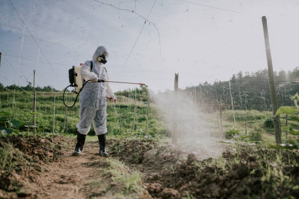 Best Mosquito Control Services  in Wesley Chapel, NC