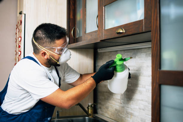 Best Best Pest Control Companies  in Wesley Chapel, NC