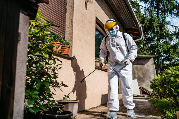 Best Best Pest Control Companies  in Wesley Chapel, NC