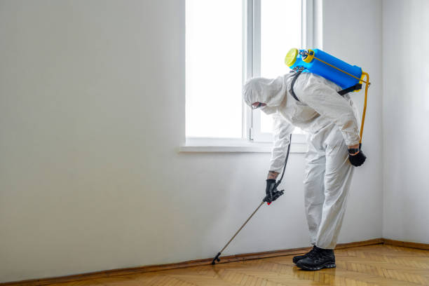 Best Pest Removal Services  in Wesley Chapel, NC