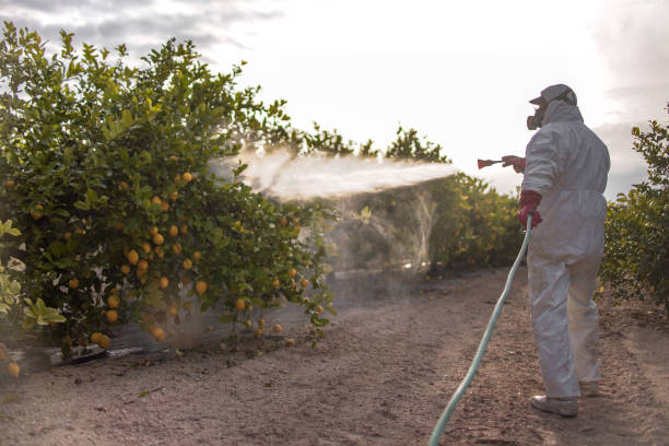 Best Pest Removal Services  in Wesley Chapel, NC
