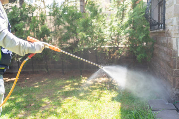 Best Flea Control Services  in Wesley Chapel, NC