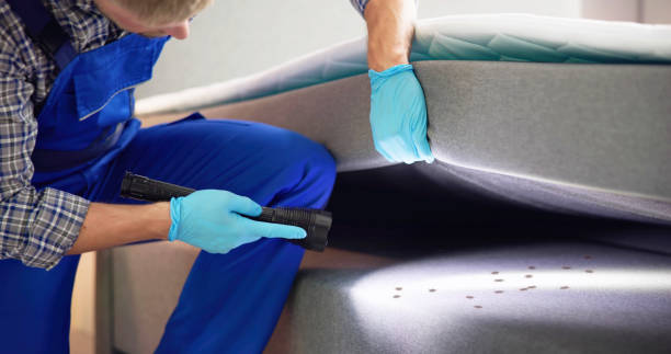 Wildlife Control Services in Wesley Chapel, NC