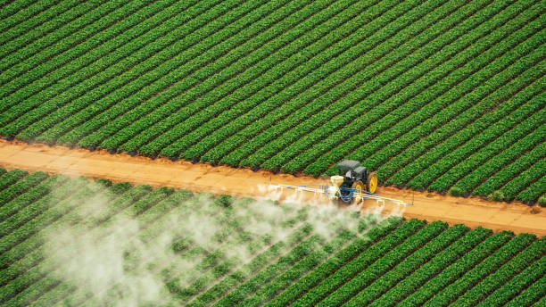 Best Commercial Pest Control Services  in Wesley Chapel, NC