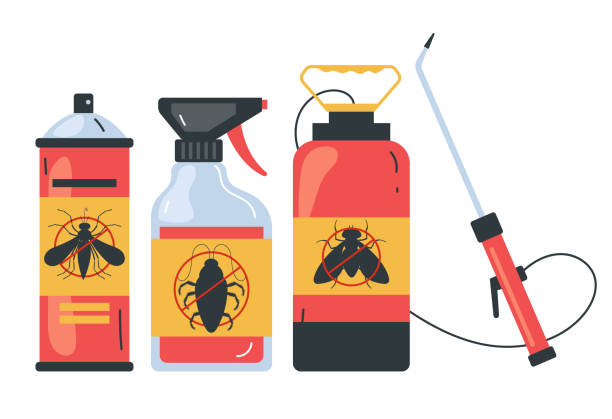 Wasp Removal Services in Wesley Chapel, NC