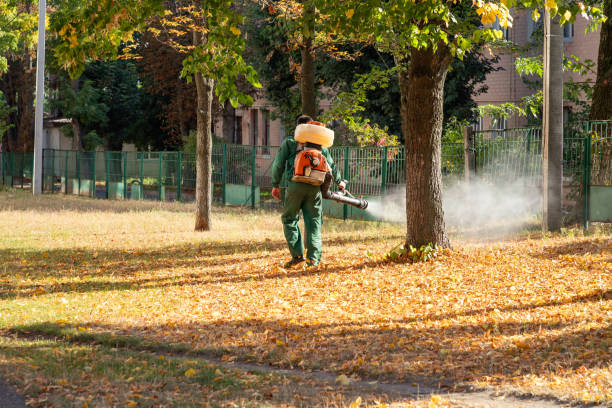 Best Emergency Pest Control  in Wesley Chapel, NC