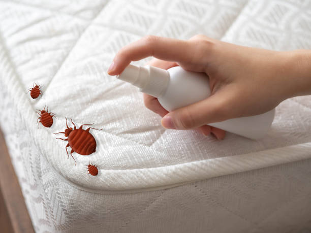 Best Pest Control Treatment  in Wesley Chapel, NC
