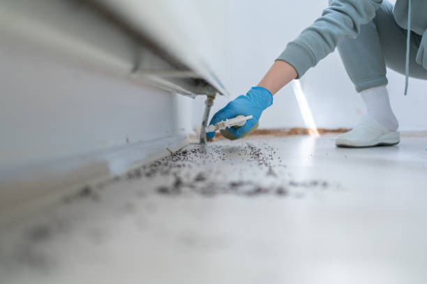 Best Bed Bug Extermination  in Wesley Chapel, NC