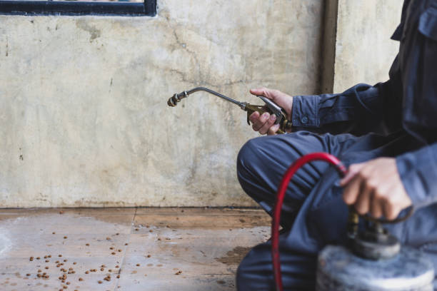 Best Termite Control Services  in Wesley Chapel, NC